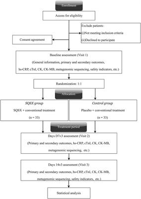 Efficacy and Safety of Shenqisuxin Granule for Non-ST-segment Elevation Acute Coronary Syndrome: Study Protocol for a Randomized, Double-Blinded, Placebo-Controlled Trial